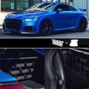 Clubsport Komplettset - Strebe mit Netz und Teppich für Audi TT / TTS / TTRS 8S